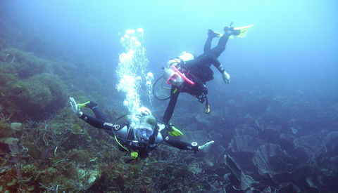 Abrolhos Islands - Attractions Melbourne 2