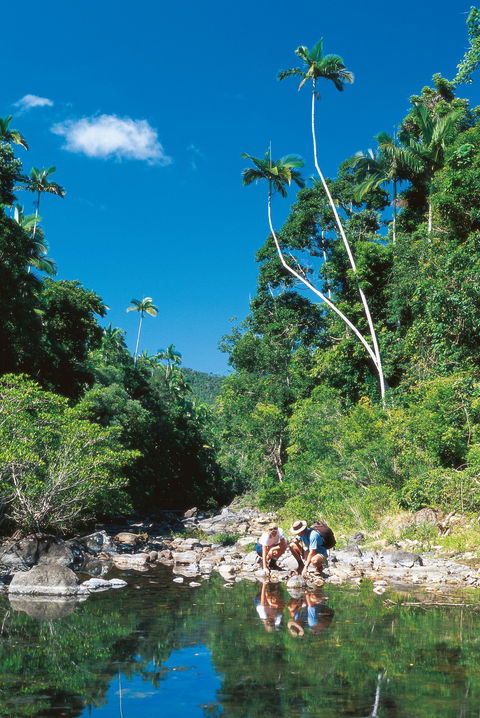 Airlie Beach To Cedar Creek Falls - Attractions Melbourne 1