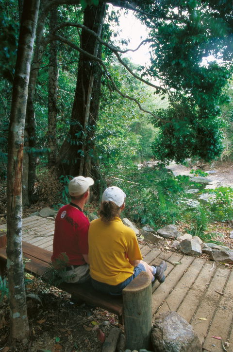 Airlie Beach To Cedar Creek Falls - Attractions Melbourne 2