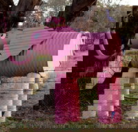 Animals on Bikes - Attractions Melbourne