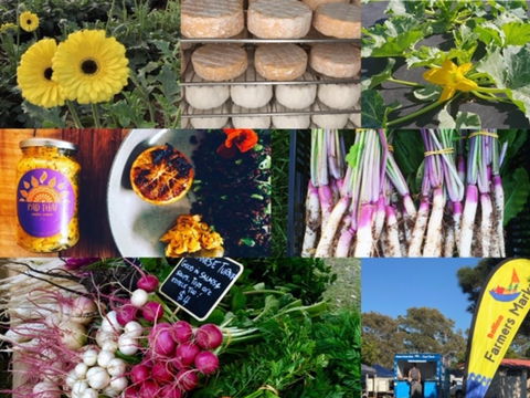 Ballina Farmers Market - Attractions Melbourne 1