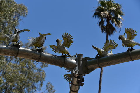 Bangerang Park - Attractions Melbourne 0