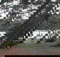 Big Brook Arboretum - Attractions Melbourne