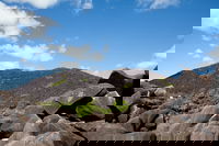 Black Mountain Kalkajaka National Park