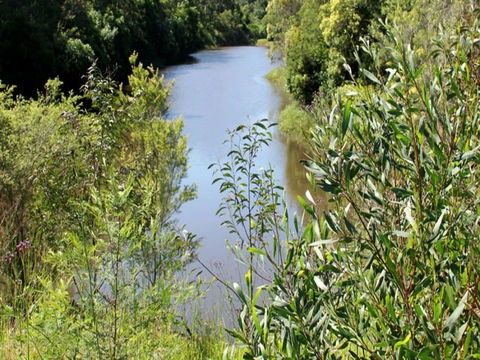 Blue Gum Hills Regional Park - Attractions Melbourne 1