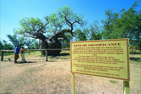 Boab Prison Tree - Attractions Melbourne 0