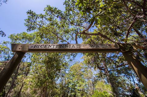 Bribie Island Bicentennial Trails - Attractions Melbourne 0