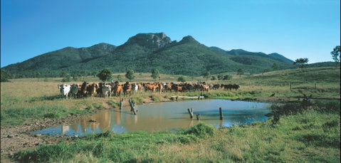 Bundaberg- Biggenden- Mount Perry Circle - Attractions Melbourne 0