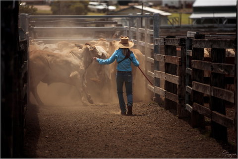 Bundaberg- Biggenden- Mount Perry Circle - Attractions Melbourne 1