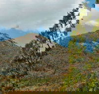 Burrowa-Pine Mountain National Park - Attractions Melbourne