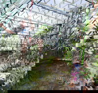 Cairns ZOOM and Wildlife Dome - Attractions Melbourne