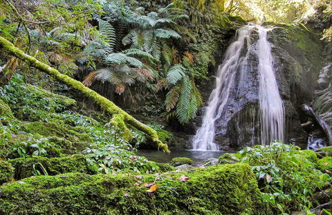 Cascades Walking Track - Attractions Melbourne 0