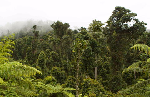 Cascade National Park - Attractions Melbourne 0