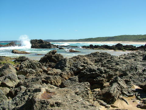 Coastal Walks - Bermagui - Attractions Melbourne 0