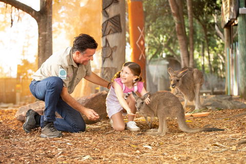 Dreamworld - Attractions Melbourne 2