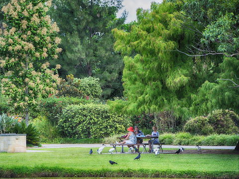 Gold Coast Regional Botanic Gardens - Attractions Melbourne 2