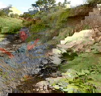 Gold Panning Deep Creek - Attractions Melbourne