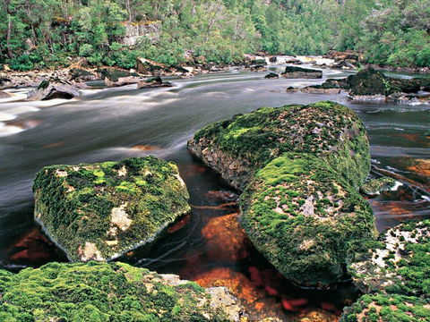 Gordon River - The - Attractions Melbourne 2