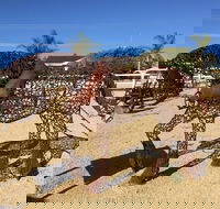 Gundersen Reserve