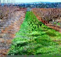 Hall Family Orchards - Attractions Melbourne