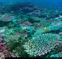 Hanging Rock Dive Site - Attractions Melbourne