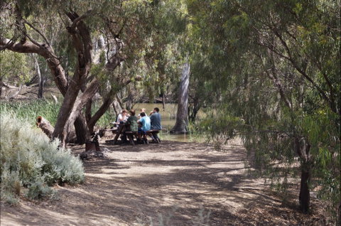 Hay Weir - Attractions Melbourne 2