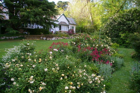 Heysen - The Cedars - Attractions Melbourne 0