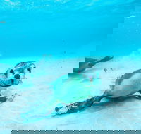 Jurien Bay - Attractions Melbourne