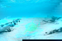 Jurien Bay