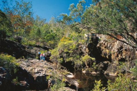 Kroombit Tops National Park - Attractions Melbourne 0