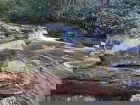 Liffey Falls Reserve