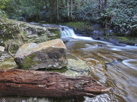 Liffey Falls Reserve - Attractions Melbourne 0