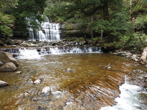Liffey Falls Reserve - Attractions Melbourne 1
