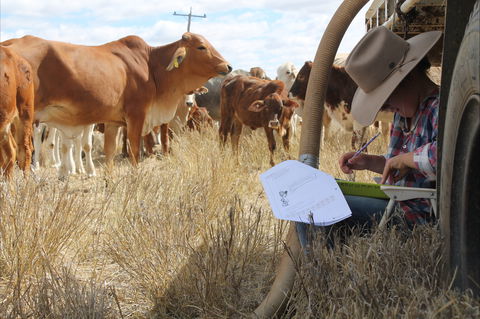 Longreach School Of Distance Education - Attractions Melbourne 2