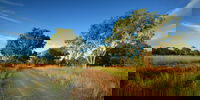 Book Maclagan Accommodation Vacations Attractions Melbourne Attractions Melbourne