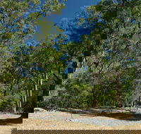 Maidens Tuart Forest - Attractions Melbourne