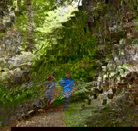 Melba Gully - Attractions Melbourne
