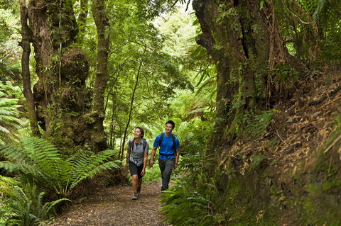 Melba Gully - Attractions Melbourne 0
