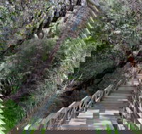 Mulwaree River Walkway - Attractions Melbourne