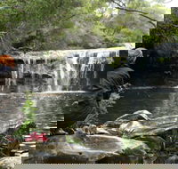 Nellies Glen Picnic Area - Attractions Melbourne