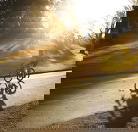 Parramatta River Cycleway - Attractions Melbourne
