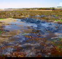 Point Danger Marine Sanctuary - Attractions Melbourne