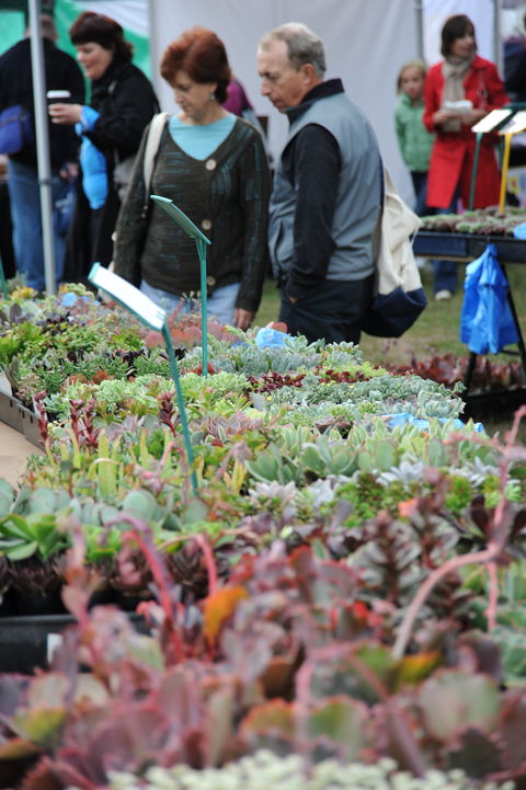 Portsea Market - Attractions Melbourne 0