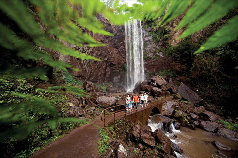 Queen Mary Falls Circuit, Main Range National Park - Attractions Melbourne 0
