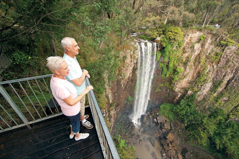 Queen Mary Falls Circuit, Main Range National Park - Attractions Melbourne 1