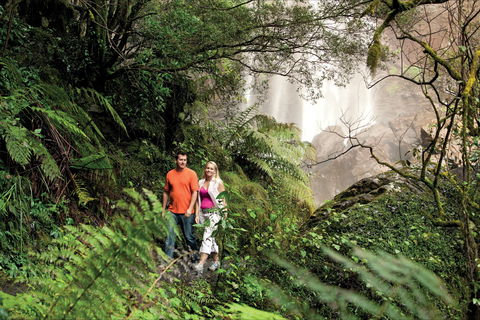 Queen Mary Falls Circuit, Main Range National Park - Attractions Melbourne 2