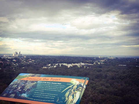 Reabold Hill Summit Boardwalk, Bold Park - Attractions Melbourne 0