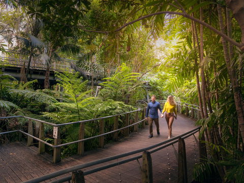 Roma Street Parkland - Attractions Melbourne 2
