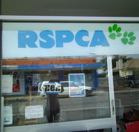 R.S.P.C.A Opportunity Shop - Attractions Melbourne