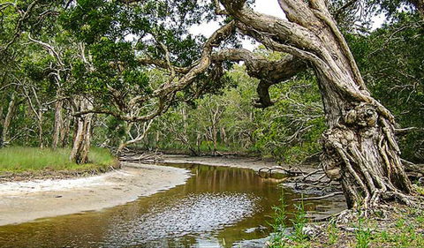 Saltwater National Park - Attractions Melbourne 0